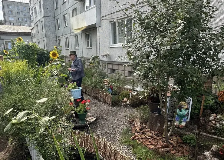 Красноярец соорудил сад и мини-огород под окнами многоэтажки: показываем красоту