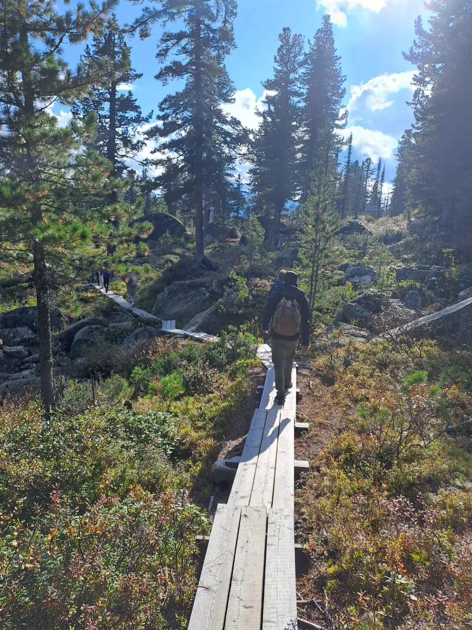 Фото: sibnovosti.ru