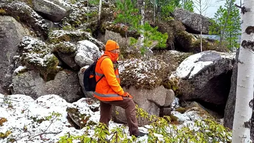 «Кажется, шансы тают с каждым часом»: у продолжающих поиски пропавшей семьи в Красноярском крае волонтеров нет зацепок