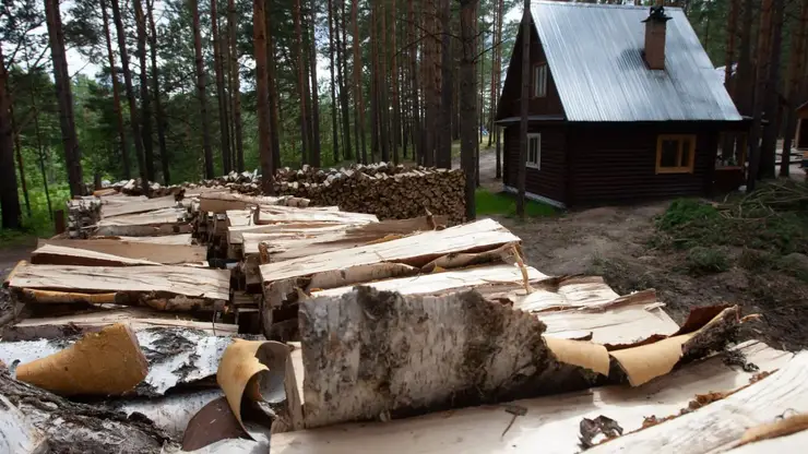 Красноярский край водит льготы на древесину для участников СВО и их семей