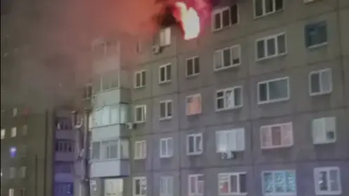 Собака спасла хозяев во время пожара в Ачинске