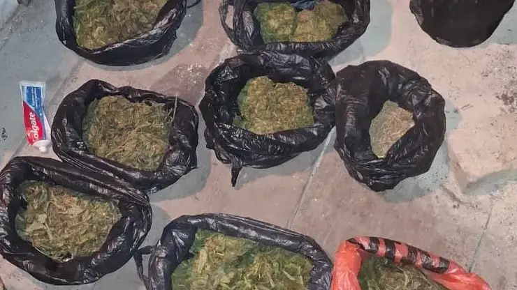 Более килограмма марихуаны изъяли у сельчанина в Красноярском края