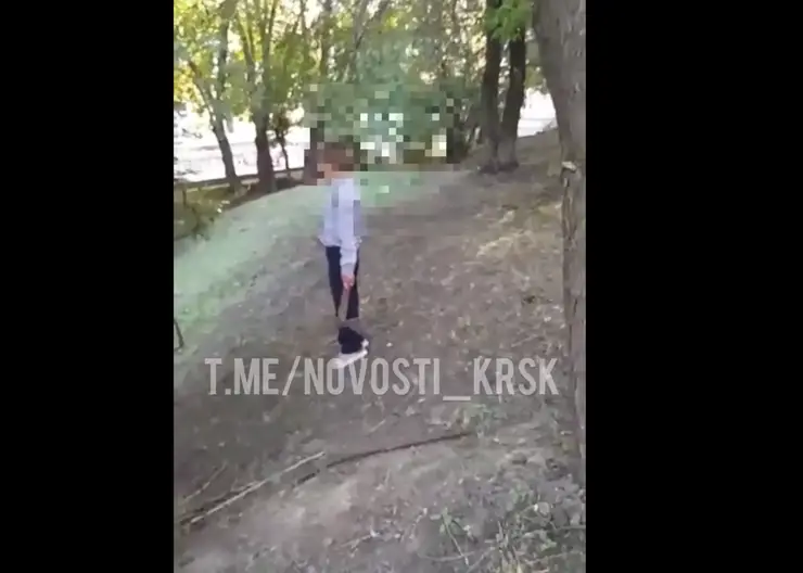 В Красноярске ученик 3-го класса пришёл в школу с топором и напугал других детей