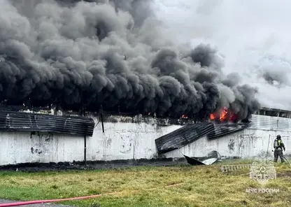 Крупный пожар охватил 2000 квадратных метров на птицефабрике в Томске