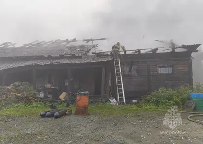 12 пожаров потушили в Красноярском крае за сутки