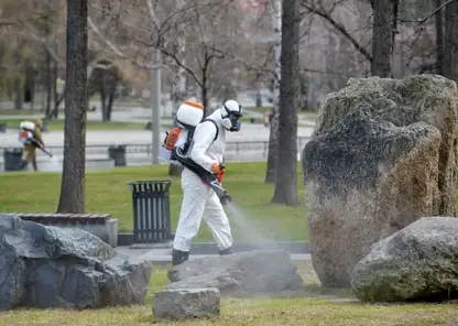 Жители Забайкалья с начала года 3217 раз обратились к медикам с жалобами на укусы клещей