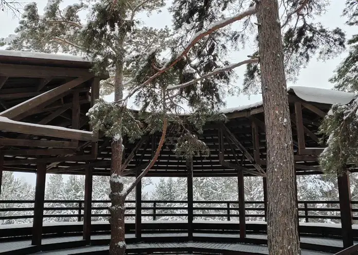 12 февраля в Красноярске заметно похолодает