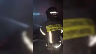 Пожар уничтожил почти 30 кур в деревне Красноярского края