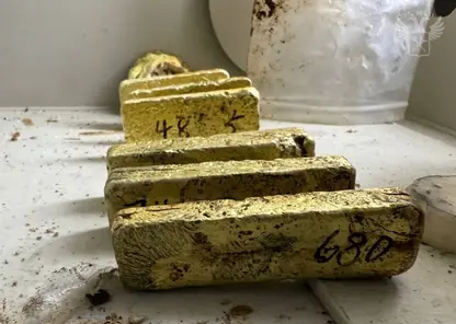 На Дальнем Востоке китаец пытался вывезти из страны золотые слитки на 267 млн рублей