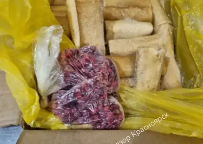 Зараженный сотрудник кухни мог стать причиной отравления 35 кадетов в Красноярске