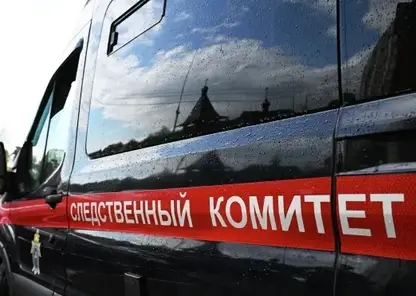 17-летнюю жительницу Барнаула подозревают в убийстве своего новорожденного ребёнка