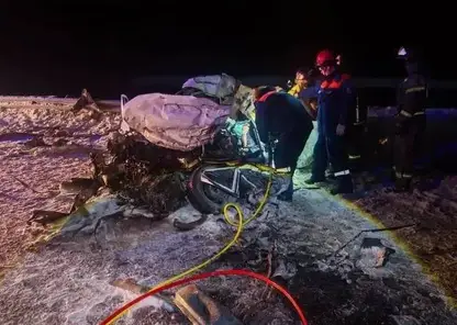 В Красноярском крае спасатели извлекли тела погибших после ДТП с грузовиком и легковушкой