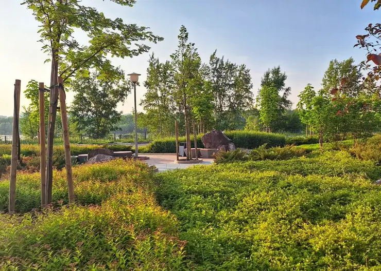 Красноярцев в пятницу ждет 36-градусное пекло