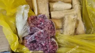 Зараженный сотрудник кухни мог стать причиной отравления 35 кадетов в Красноярске