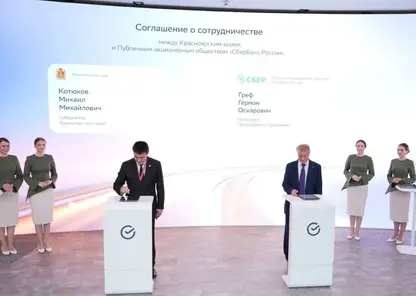 От тайги до IT: Красноярский край цифровизирует экономику