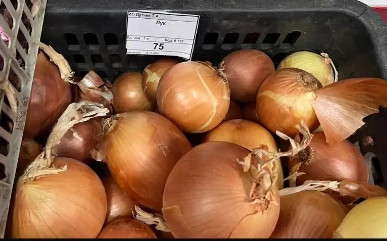 Фото: Прокуратура Красноярского края