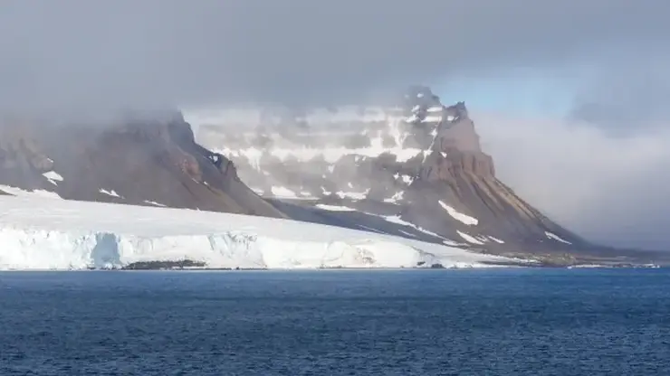 В Красноярске создали экологичные стройматериалы из опилок для арктического строительства