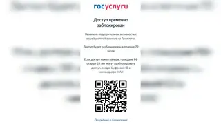 Россияне сталкиваются с проблемами при доступе на «Госуслуги», что происходит