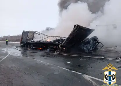 В Новосибирской области погиб один человек в аварии с тремя грузовиками