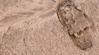 Красноярские археологи рассказали о малоизвестной коллекции редких ножей