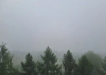 Туман и дождь прогнозируют в Красноярске 12 сентября