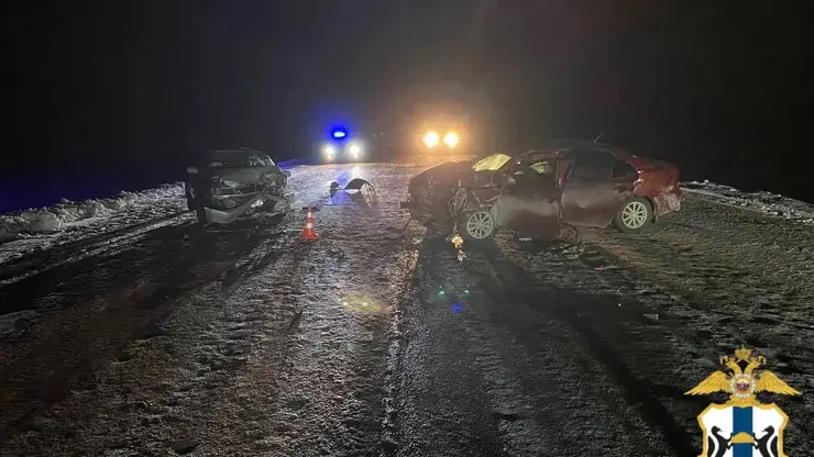 Водитель и пассажир погибли в ДТП в Новосибирской области