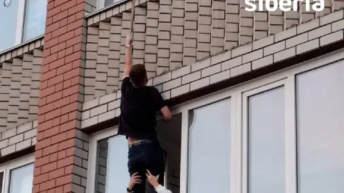 Барнаульцы спасли котёнка, застрявшего в оконной раме