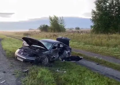 В ДТП под Боготолом погибла женщина, виновник аварии сбежал