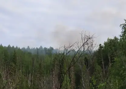 Дым от лесных пожаров в Красноярском крае накрыл Хакасию