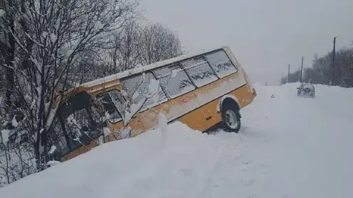 В Курагинском районе автобус с детьми съехал в кювет: водитель госпитализирован