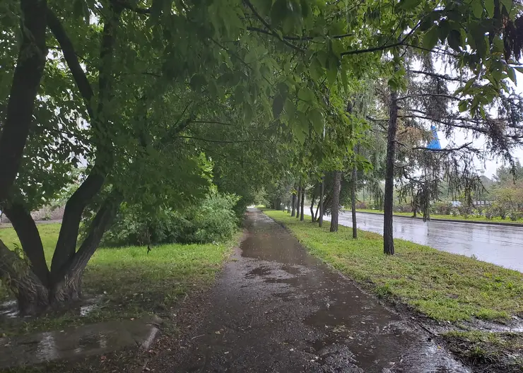 Дождь и грозу прогнозируют синоптики в Красноярске 24 августа