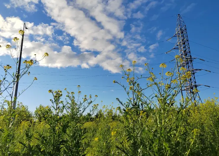 В воскресение в Красноярске будет жарко и без дождей
