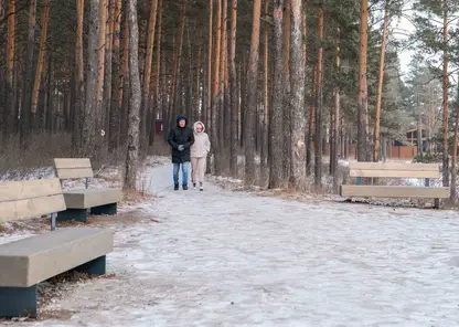 В Красноярске от новой лестницы на Удачном проложат две тропы до Серебряниковского пруда