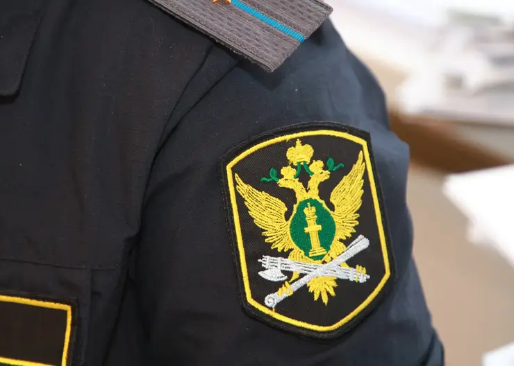 В Красноярске судебные приставы вернули матери четырёхлетнюю дочь