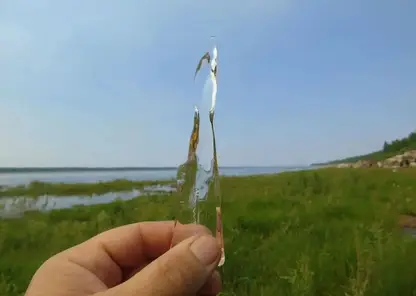 Льдинку среди травы нашли в Красноярском крае
