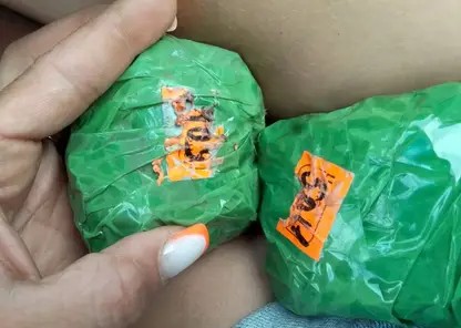 В Красноярске секретарю суда грозит срок за подработку закладчиком