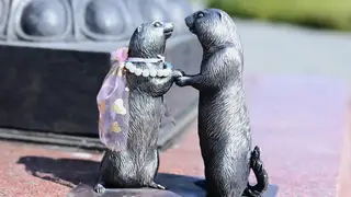 В Красноярске установили парочку последних бронзовых сусликов В Красноярске установили парочку последних бронзовых сусликов