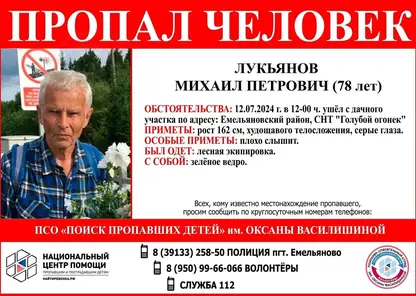 Пропавшего пенсионера в Емельяновском районе, ищут третий день