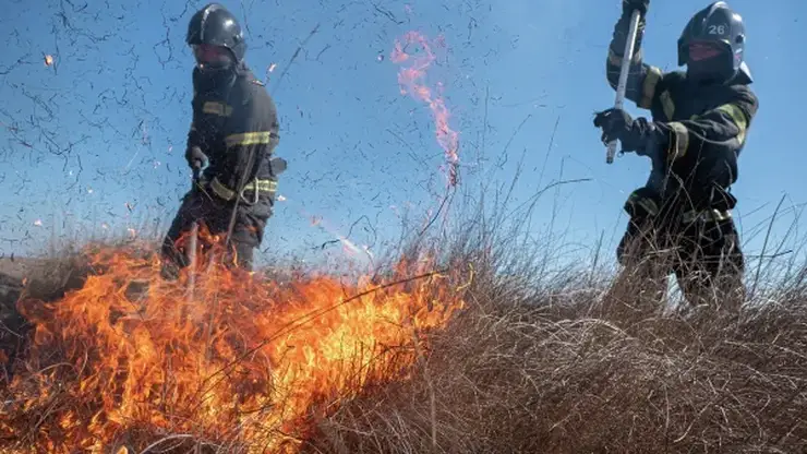 Жителям Красноярского края напомнили, как правильно сжигать сухую траву