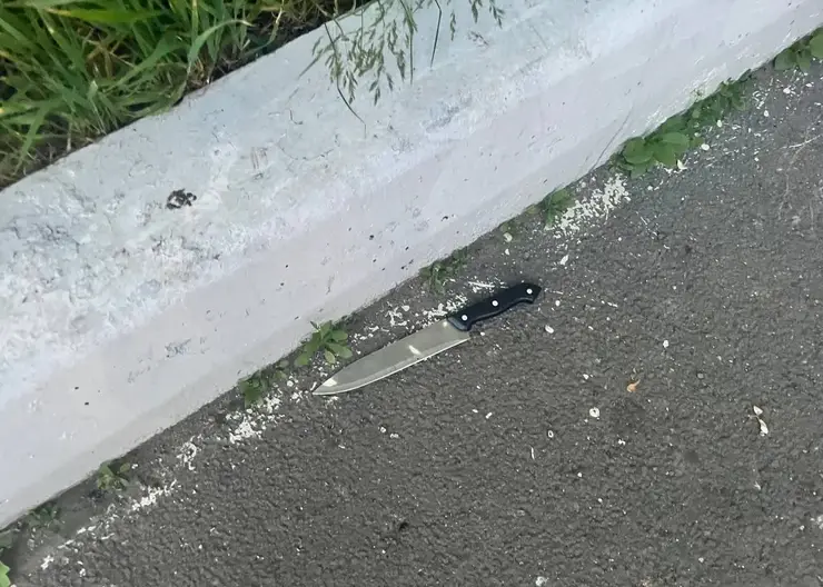 Подозреваемый в нападении на мужчину с ножом в Красноярске, предварительно, психически нездоров