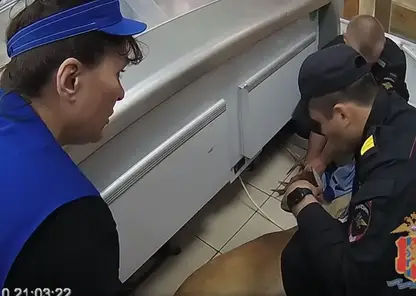 В Ачинске полицейские спасли забежавшую в магазин косулю