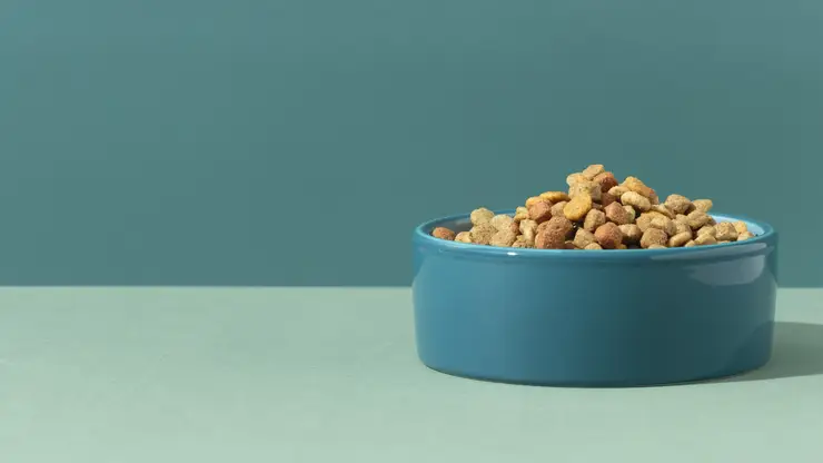 «Алиэкспресс» заплатит норильчанке двойную цену за недоставленный корм для животных