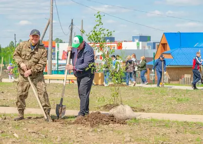 В посёлке Таёжный высадят 75 кустов сирени, яблонь и клёна