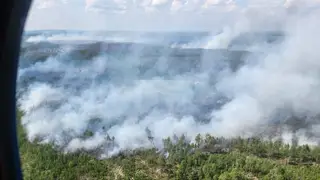 Над горящими лесами Томской области начали разгонять облака, чтобы дожди полили прямо на пожары