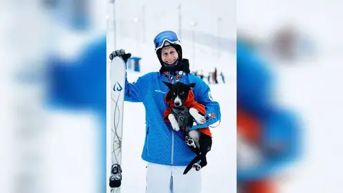 Красноярские спортсмены помогли собаке найти семью за границей