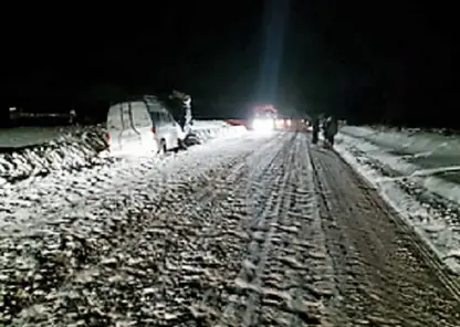 Лошадь спровоцировала ДТП с двумя маршрутками в Иркутской области 