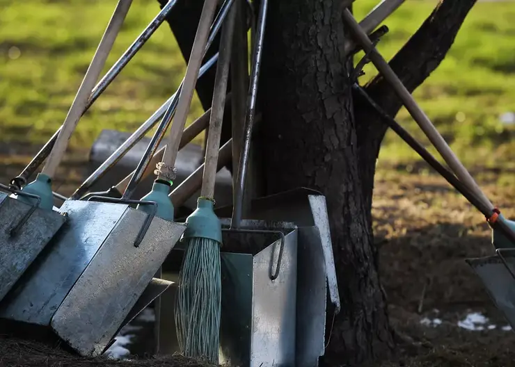 23 сентября в Красноярске состоится общегородской субботник