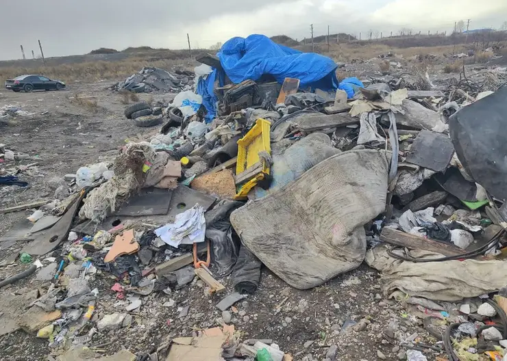 17,8 млн рублей выделили на ликвидацию стихийных свалок в этом году в Советском районе Красноярска