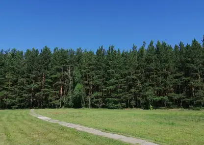 В Иркутской области нашли потерявшуюся в лесу пенсионерку