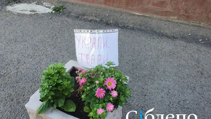 В Кемерове разгорелся «цветочный» скандал: неизвестные оборвали лепестки с клумбы
